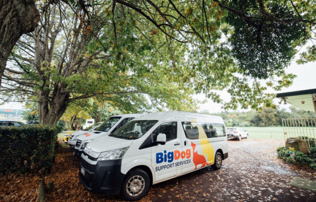 Community Access | BigDog Support Services