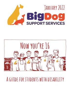 Now You're 16 | BigDog Support Services