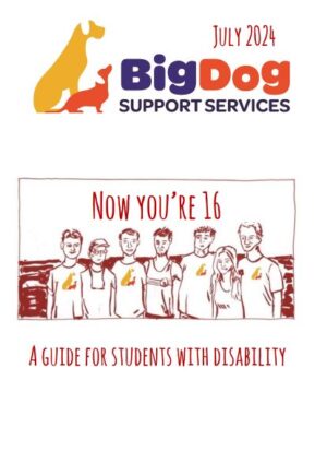 Now You're 16 | BigDog Support Services